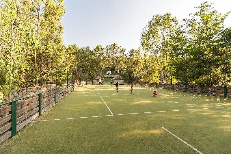 Les Restanques Du Golfe De Saint Tropez Apartment Grimaud